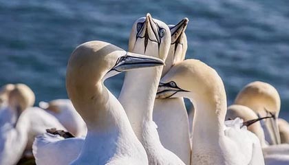 郑钦文、苏炳添等运动员亮相天安门广场，均受邀参加九三阅兵盛典